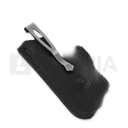 William Henry B10 Declaration