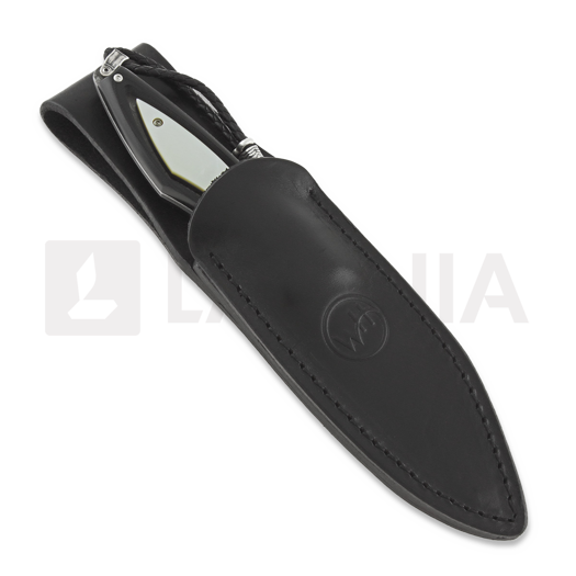 William Henry F28 Coast