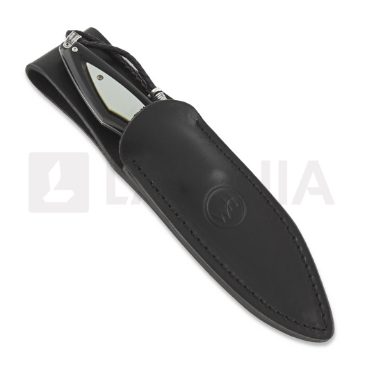 William Henry F28 Coast