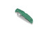 Spyderco Endura 4 folding knife, FRN, Flat Ground, green C10FPGR