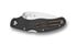 Spyderco Caly 3 folding knife, carbon fiber C113CFPE
