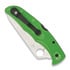 Zavírací nůž Spyderco Pacific Salt 2 LC200N, zelená C91FPGR2