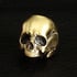 RusBead - Small Anatomical Skull without Jaw
