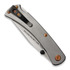 Buck Titanium Slim Pro TRX Ltd Ed סכין מתקפלת 110GYSLE1