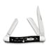 Pocket knife Case Cutlery Buffalo Horn Jig Medium Stockman 65028