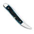 Pocket knife Case Cutlery PW Mediterranean Blue Bone Peach Seed Jig Medium Texas Toothpick 51855