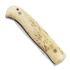 A&R Zlatoust Skladnoiy folding knife