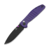 Bestechman Goodboy - DLC - G10, purppura