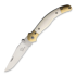 Coltello pieghevole Betyar Fejesgorbe Linerlock
