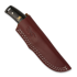 Browning Buckmark Hunter metsästyspuukko