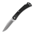 Buck 110 Slim Select Lockback sulankstomas peilis