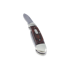 Buck Canoe sulankstomas peilis, wood BU389BRS