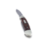 Buck Canoe kääntöveitsi, puu BU389BRS