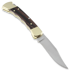 Buck Folding Hunter 110 sulankstomas peilis, Finger Grooved BU110FG