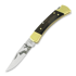 Buck Folding Hunter 110 kääntöveitsi, Lamnia Exclusive