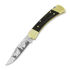 Buck Folding Hunter 110 folding knife, Lamnia Exclusive