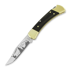 Buck Folding Hunter 110 kääntöveitsi, Lamnia Exclusive