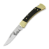 Buck Folding Hunter 110 kääntöveitsi, Lamnia Exclusive