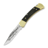 Buck Folding Hunter 110 folding knife, Lamnia Exclusive