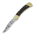 Buck Folding Hunter 110 folding knife, Lamnia Exclusive