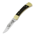 Buck Folding Hunter 110 folding knife, Lamnia Exclusive