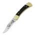 Buck Folding Hunter 110 kääntöveitsi, Lamnia Exclusive