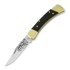 Buck Folding Hunter 110 folding knife, Lamnia Exclusive