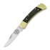 Buck Folding Hunter 110 folding knife, Lamnia Exclusive