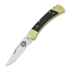 Buck Folding Hunter 110 folding knife, Lamnia Exclusive