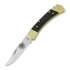 Buck Folding Hunter 110 folding knife, Lamnia Exclusive