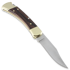 Buck Folding Hunter 110 kääntöveitsi, nahkainen vyökotelo BU110