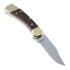 Buck Ranger sulankstomas peilis BU112