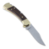 Buck Ranger 折叠刀 BU112