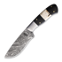 BucknBear - Damascus Fixed Blade