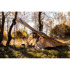 Telts Bushmen CORE-Tent&reg; Lodger, coyote