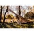 Telts Bushmen CORE-Tent® Lodger, coyote