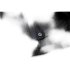 Jacket Carinthia HIG 4.0, preto