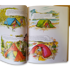 Casström Lars Fält Book Outdoors the Scandinavian Way Summer Edition 601107