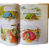Casström Lars Fält Book Outdoors the Scandinavian Way Summer Edition 601107