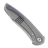 Coltello pieghevole Cheburkov Russkiy Damascus, purple pivot