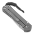Chris Reeve Sebenza 21 CGG Chain Mail sulankstomas peilis, large L21-1258