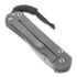 Coltello pieghevole Chris Reeve Sebenza 21 CGG Chain Mail, large L21-1258