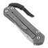 Chris Reeve Sebenza 21 CGG Rhino sulankstomas peilis, large L21-1256