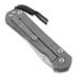 Couteau pliant Chris Reeve Sebenza 21, small, CGG Chain Mail S21-1258