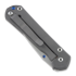 Chris Reeve Sebenza 21 folding knife, small, CGG Circuits S21-1244
