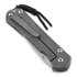 Coltello pieghevole Chris Reeve Sebenza 31 CGG Rhino, large L31-1500