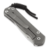 Chris Reeve Sebenza 31 CGG Rhino sulankstomas peilis, small S31-1500