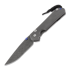 Chris Reeve Sebenza 31 Damascus Boomerang sulankstomas peilis, large L31-1002