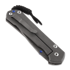 Chris Reeve Sebenza 31 Damascus Boomerang sulankstomas peilis, large L31-1002