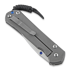 Chris Reeve Sebenza 31 sulankstomas peilis, large L31-1000